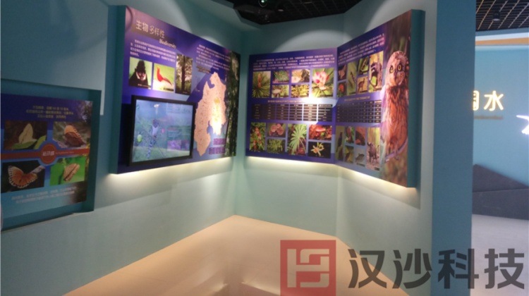 贵州宽阔水国家级自然保护区数字展厅：把一片原始林，写进可走近的数字叙事